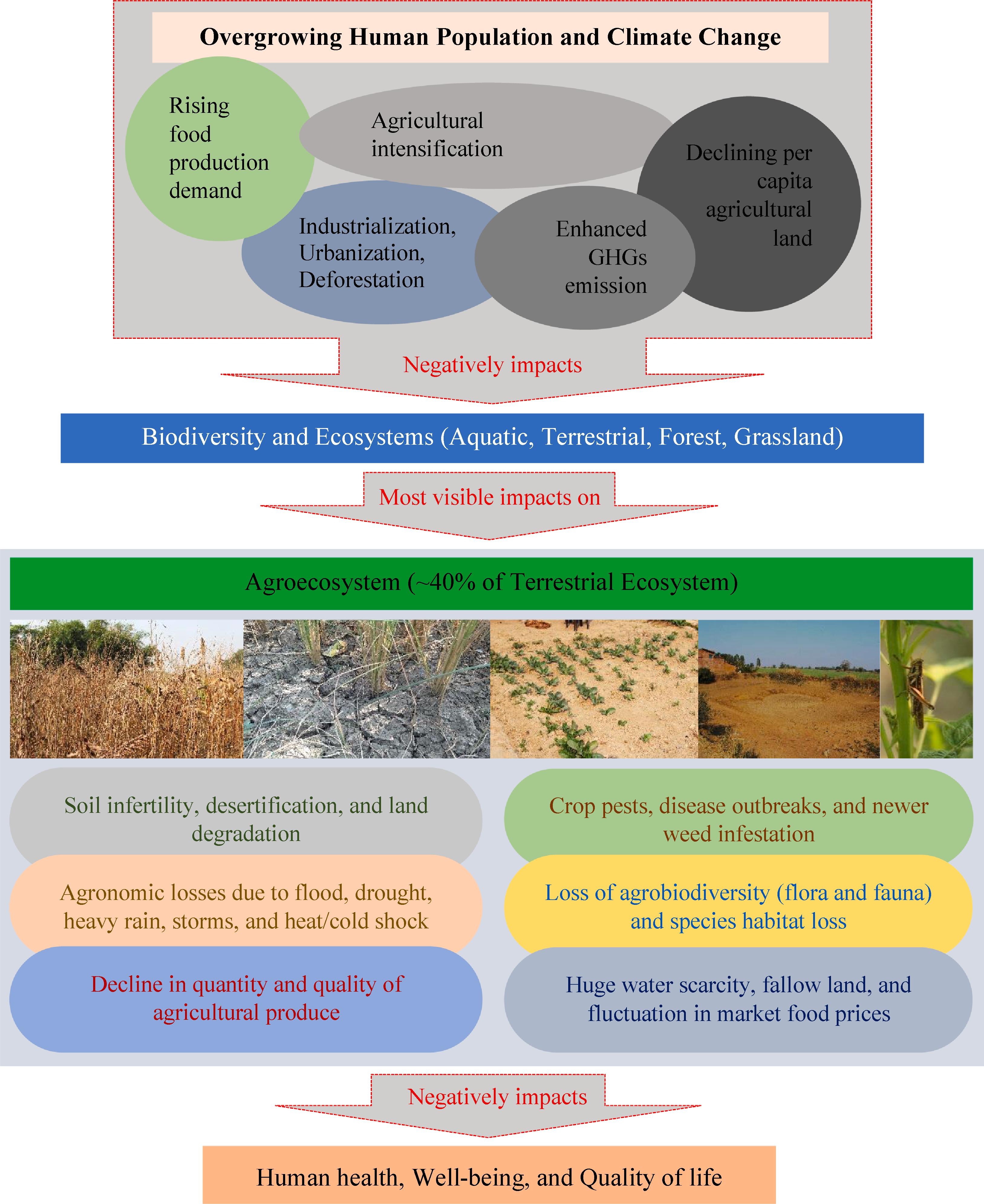 Low input sustainable agriculture A viable climatesmart option for